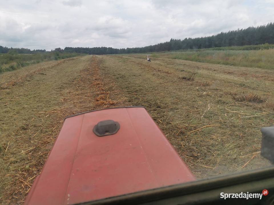 tłuka kosiarka sadownicza rotosan mulczer Sosnowa Wola