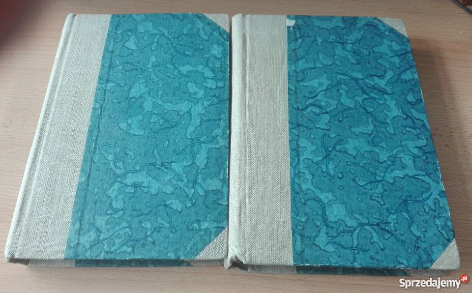 Storia della letteratura latina 1 3 Originalit Gdańsk