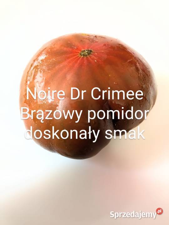 Noire De Crimee brązowy doskonały smak pomidor