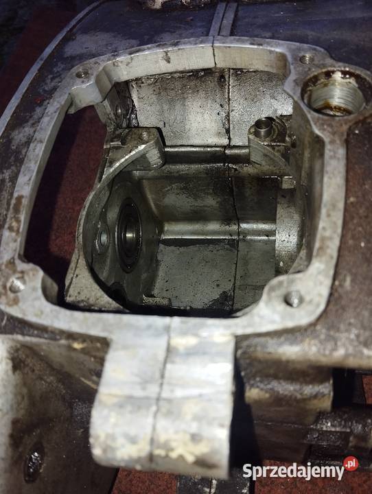 PANNONIA PANNONIA CSEPEL karty Kartery Głogów