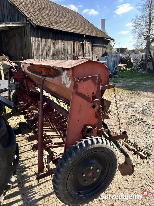 Siewnik poznaniak 6 Golczewo