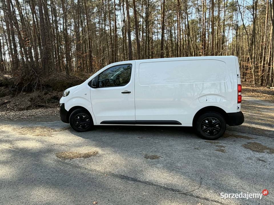 Peugot expert podkarpackie Stary Dzików