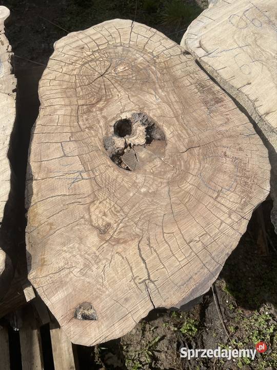 Plaster jesion orzech stolik kawowy live edge