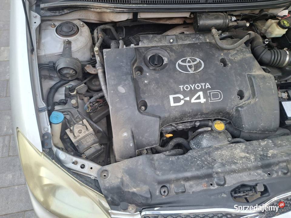 Toyota corolla Toyota Ostrołęka