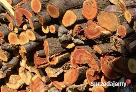Drewno do wędzenia wiśnia śliwa śliwka jabłoń