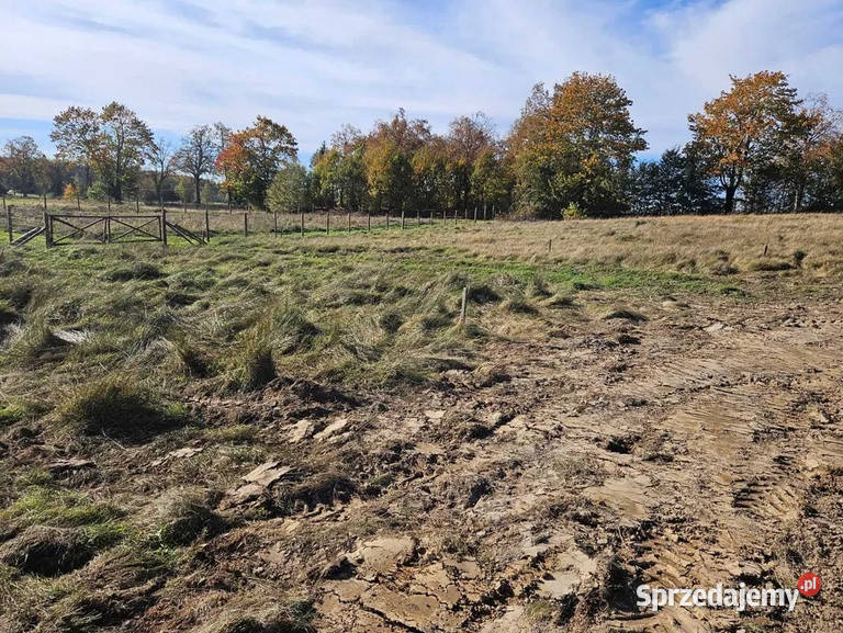 Sprzedam działkę budowlaną Połęczyno gm Somonino