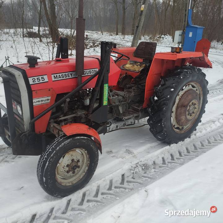 MF 255 1990 Popielina