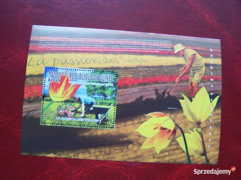 Gwinea 2010 MNH Flora Kwiaty Tulipany