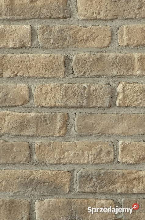 Płytki ceglane Średniowieczne 0507 mazowieckie Warszawa