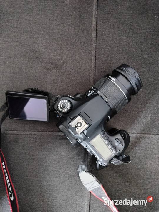canon 60 d Szprotawa