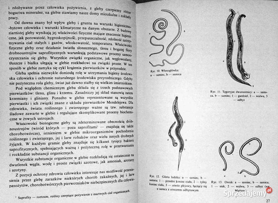 Higiena dziecka w wieku przedszkolnym Zbigniew Chełm