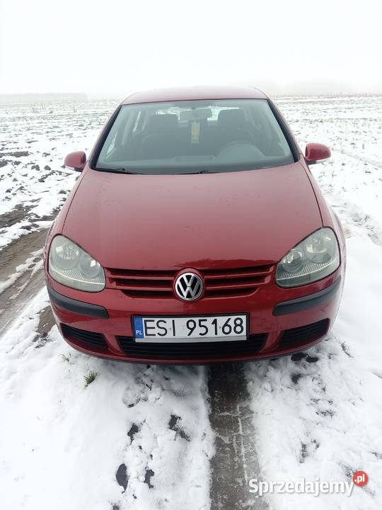 Sprzedam Volkswagena Golfa 5 19 TDI manualna Aleksandrów Łódzki