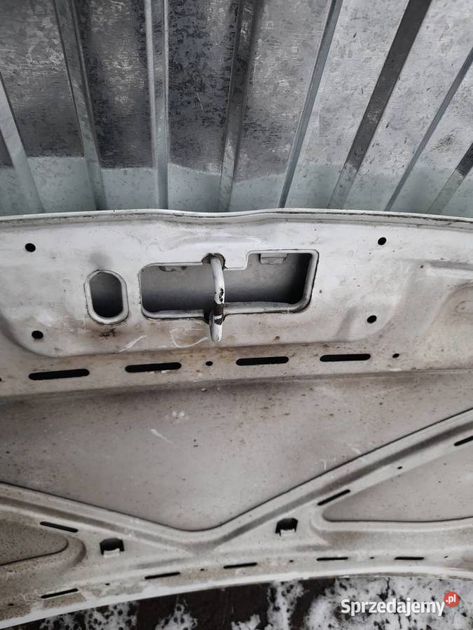 PANDA IIPANDA MASKA pomorskie Jastrzębia Góra sprzedam