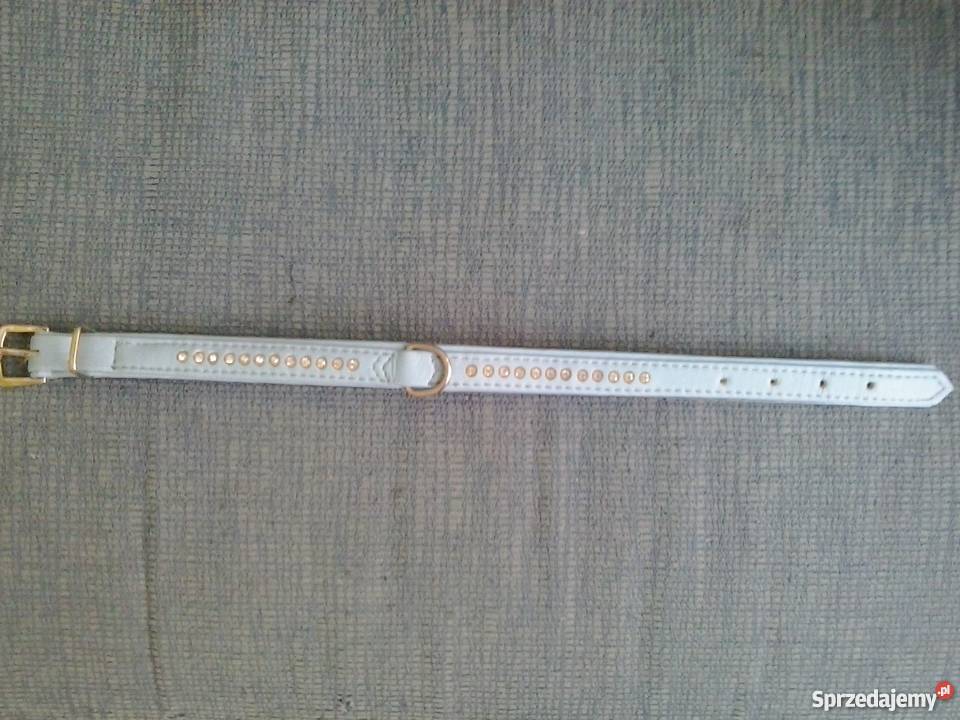 Smycz Flexi Classic S 5 m do 12 Warszawa