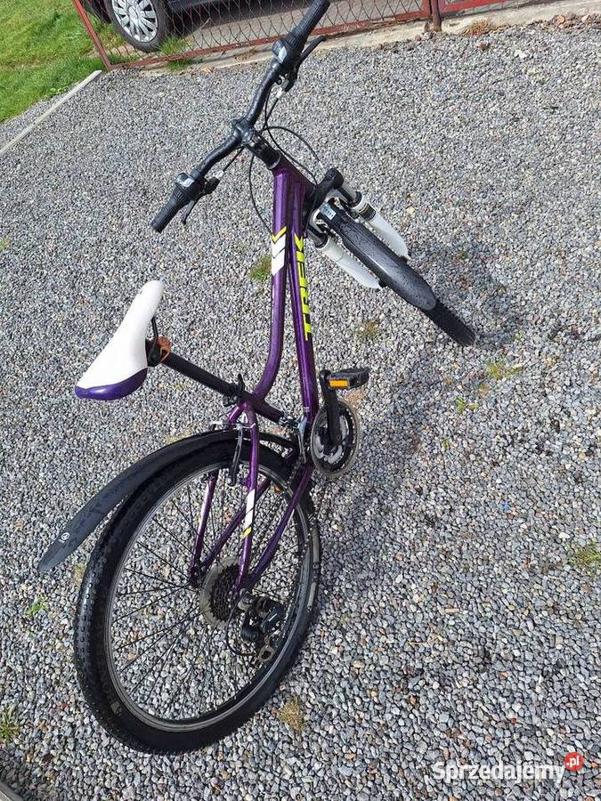 Rower dziecięcy Trek precaliber 24 cale Mikołów sprzedam