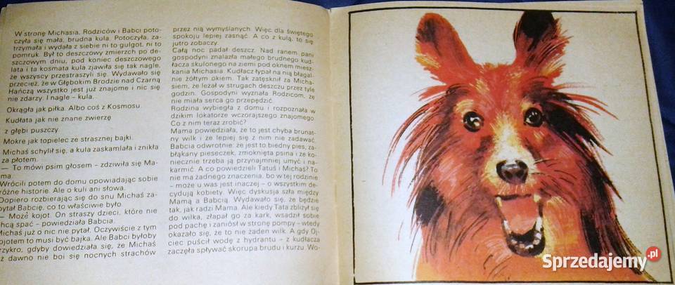 Drops rozbójnik zza Żelaznej Bramy Marek Andrzej Pozostałe lubelskie Chełm