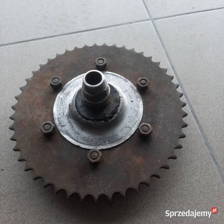 Zabierak zębatka SHL M11