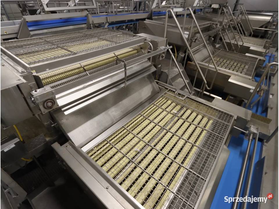 Sortownik Urządzenie do sortowania ziemniaków ze wielkopolskie Krotoszyn