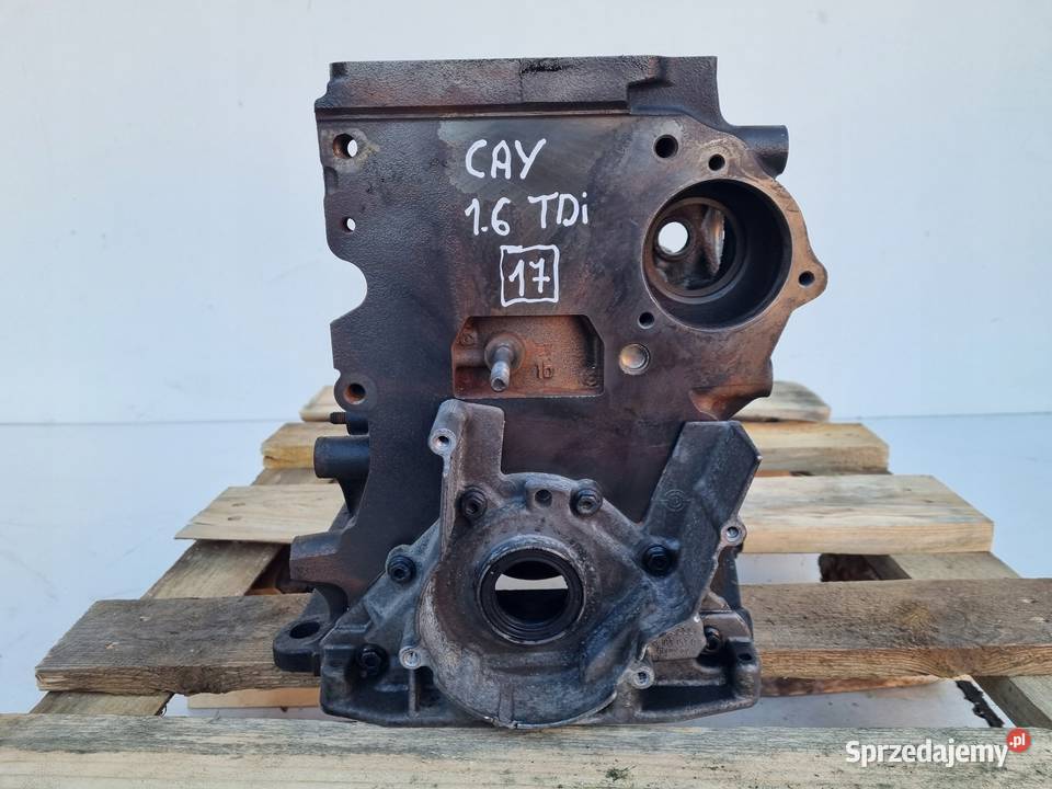 BLOK SILNIKA 16 TDI CAY VW Golf VI Passat B7 Rudka