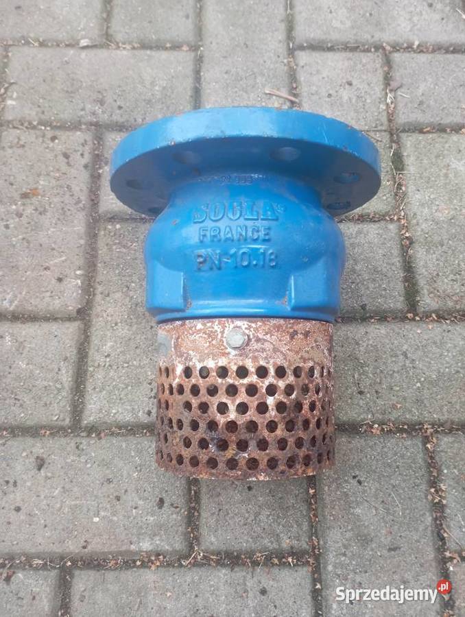 Zawór zwrotny żeliwny z filtrem din 80 Psary