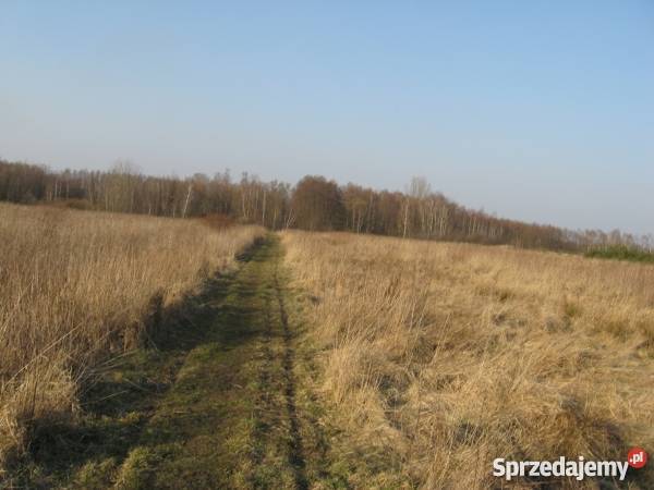 Sprzedam Dom Piasek Wielki świętokrzyskie Piasek Wielki