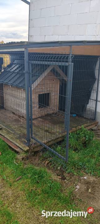 Kojec z budą na dużego psa podkarpackie Dębica