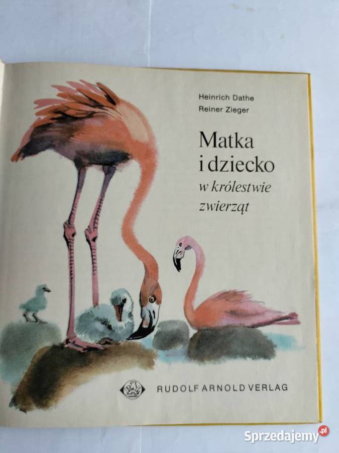 Matka i dziecko w królestwie zwierząt HDathe i pomorskie Gdynia sprzedam