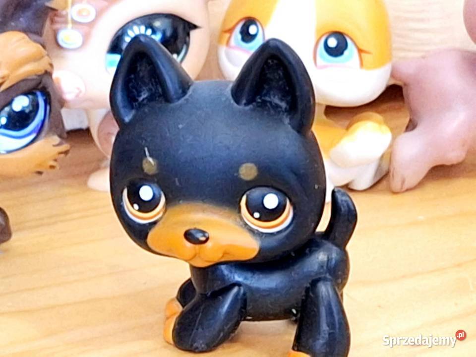 Owczarek niemiecki Littlest Pet Shop Hasbro Braniewo