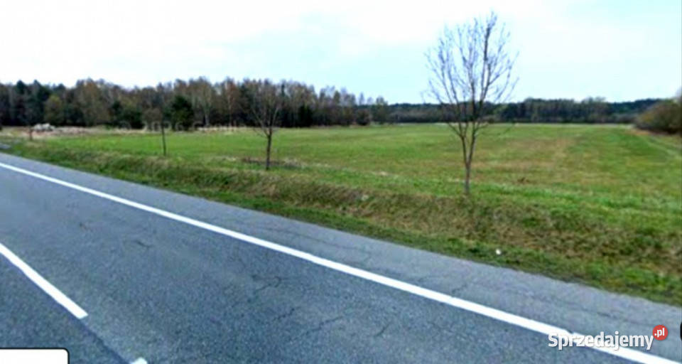 sprzedaż działka inwestycyjna 5477m2 Grodziec asfalt Sprzedaż
