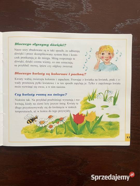 Dlaczego nie o jest niebieskie Książka dzieci Częstochowa