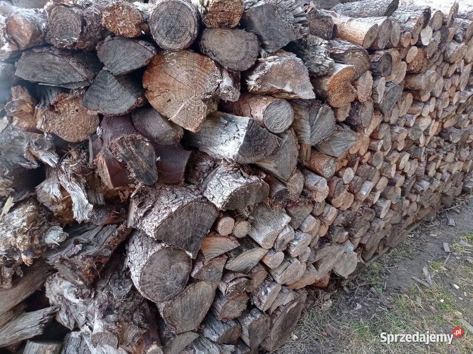 Sprzedam drzewo liściaste i sosnowe Kiełkowice