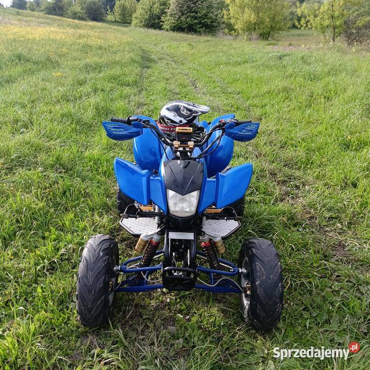 Sprzedam Bashan 200 świętokrzyskie Pokrzywnica