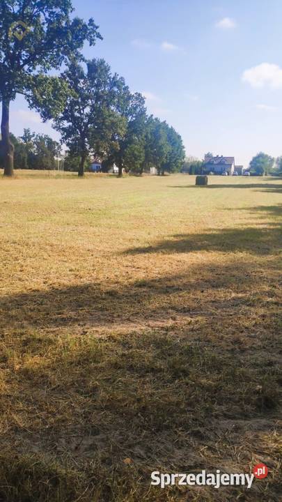 Sprzedam działkę budowlaną w Lasocinie Lasocin