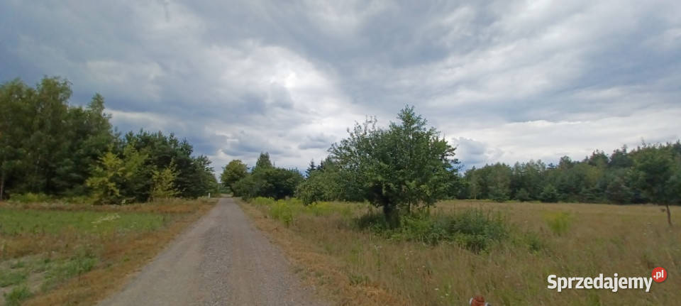 WarszawaRaszynTarczyn Posiadłość 2 ha z Tarczyn
