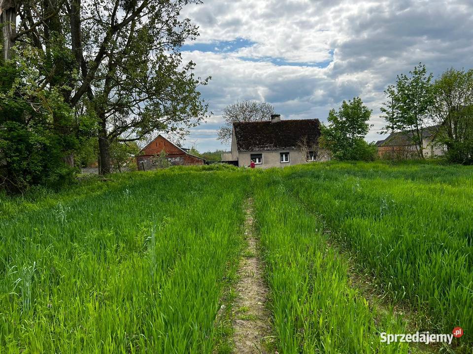 Działka budowlana drodze asfaltowej zachodniopomorskie Goszków sprzedam