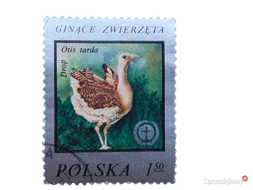 Stary znaczek pocztowy Drop zwyczajny Otis tarda Filatelistyka śląskie