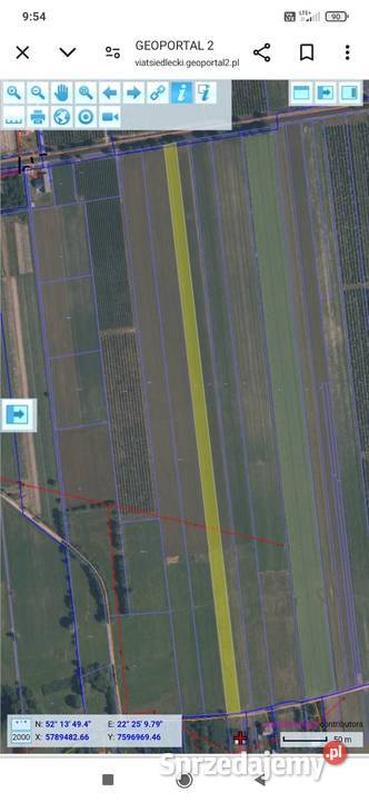 Sprzedam działkę rolną 1 ha Czepielin Kolonia Sprzedaż Czepielin-Kolonia