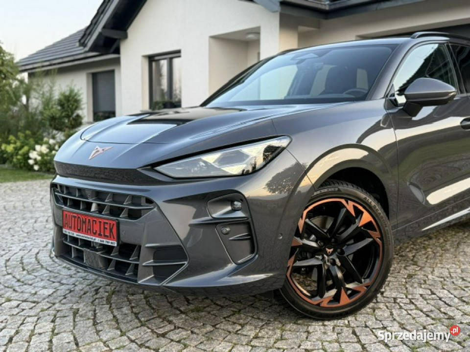 Cupra Terramar dolnośląskie Kamienna Góra