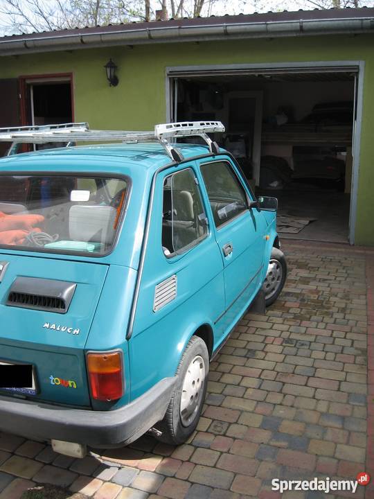 Maluch kobiety Tomaszów Mazowiecki sprzedam