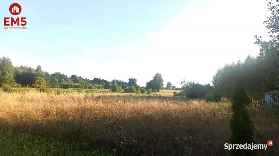 Działka 2954m2 Letniki