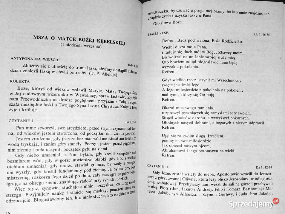 Sanktuarium Matki Bożej Kębelskiej w Wąwolnicy miękka Chełm