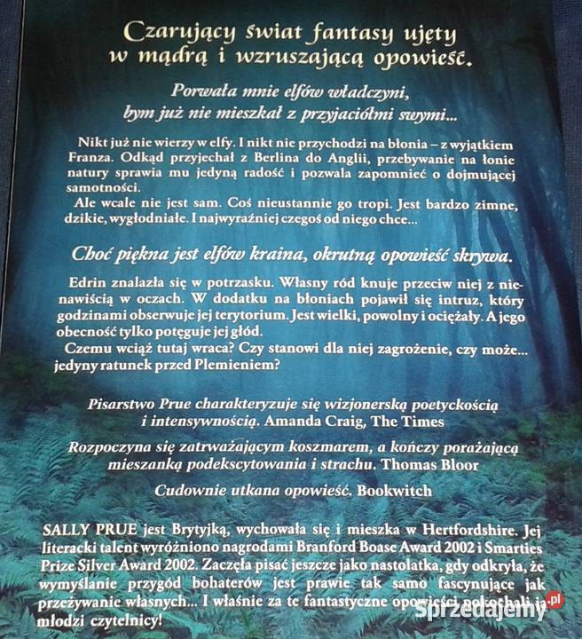 Lodowa Pani Sally Prue Rok wydania 2011 Chełm