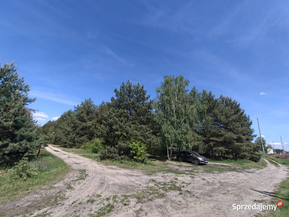 Michałów urokliwa działka budowlana 5500 m2 sprzedam