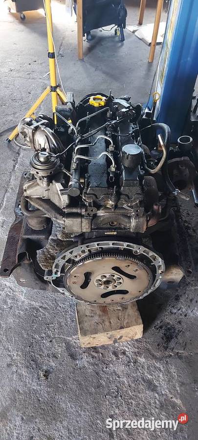 Dodge nitro 28 crd silnik 177 wielkopolskie Zbąszyń