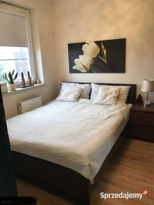 2pok 38met Gazowej BALKONWINDA2009 Wrocław Sprzedaż