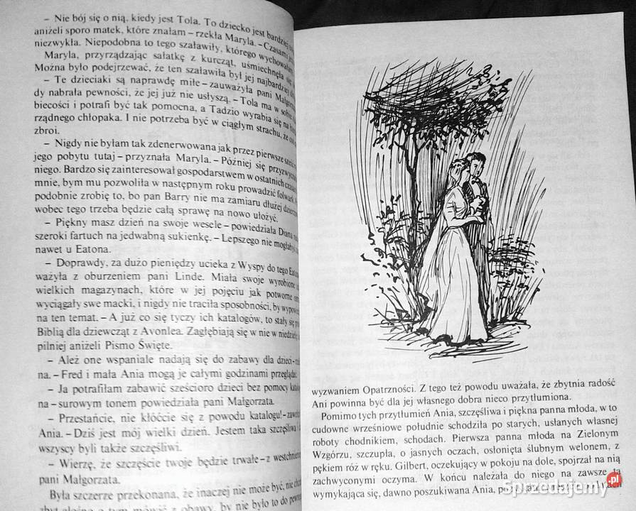 Wymarzony dom Ani Lucy Maud Montgomery Pozostałe Chełm