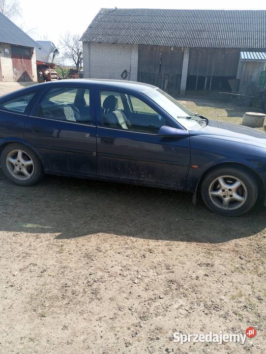 Opel Vectra b 16 8 v świętokrzyskie Wyspa
