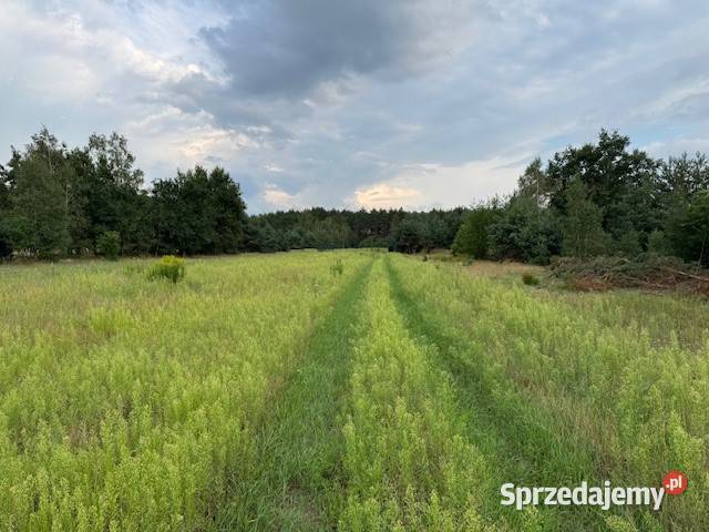 Dziełka budowlana Kuligów