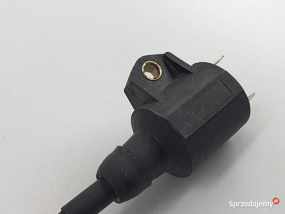 Cewka Zaplonowa Fajka Cpi Aragon łódzkie sprzedam