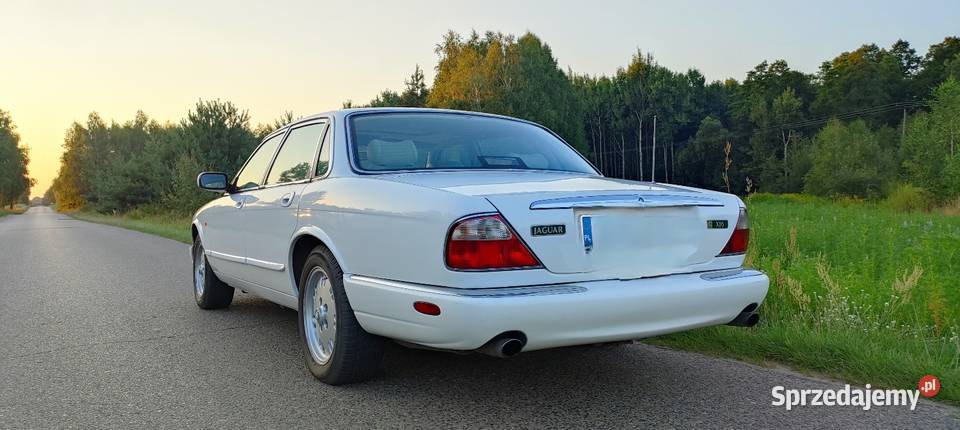 Jaguar xj6 Manuał Ważne opłaty Idealny do ślubu 1KM